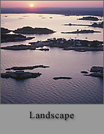 Aerial: Landscape