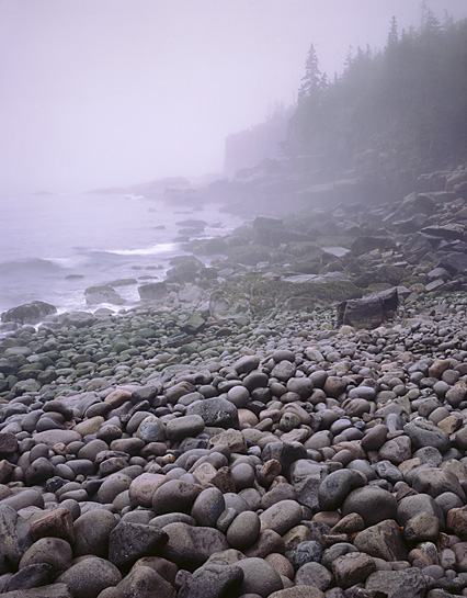 Acadia, Mount Desert Island, ME 