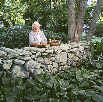 Diane McGuire, for Landscape Architecture