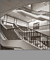 Architecture: Commercial