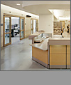 Architecture: Commercial